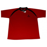 CW-67 Polyester Red Soccer Set